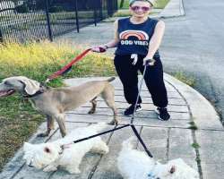 She is an animal lover and has adopted three dogs She is an animal lover and has adopted three dogs.